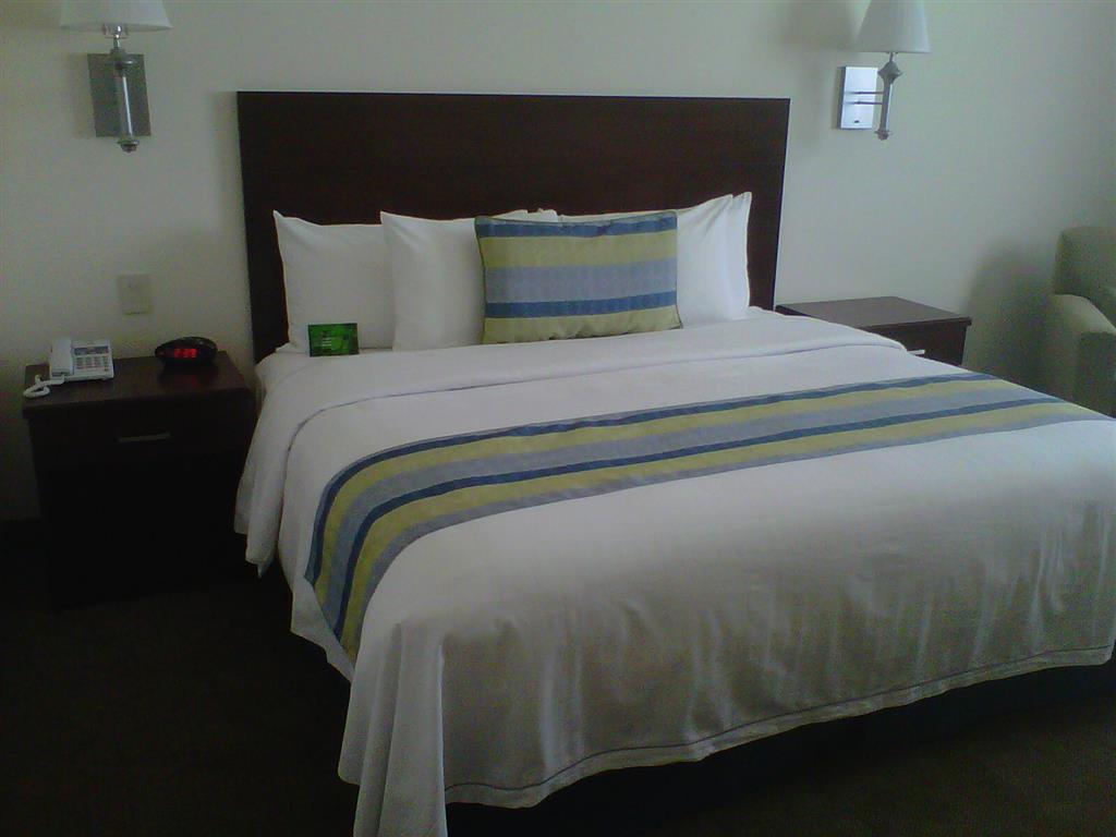 Hotel Aeropuerto Los Cabos San José del Cabo Eksteriør billede
